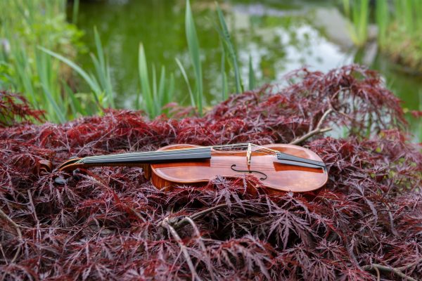 Barockgeige nach Stradivari